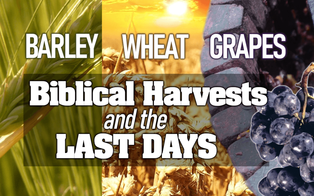 Biblical Harvests