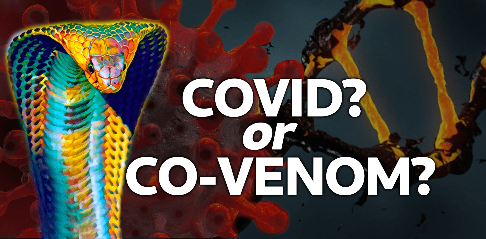 COVID-19? Or Co-VENOM-19? Why Are People Suddenly Talking About Deadly Snake Venom Proteins?